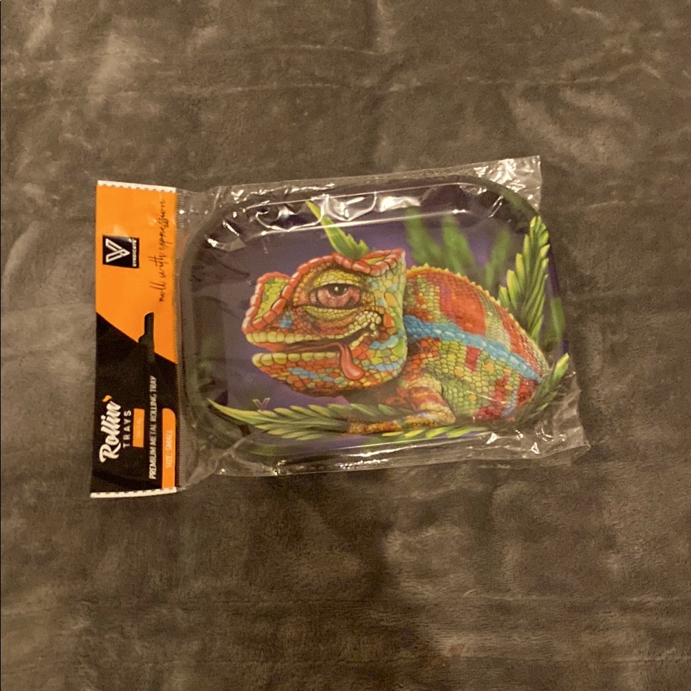 Vibrant Reptile Feeding Dish - Multicolor